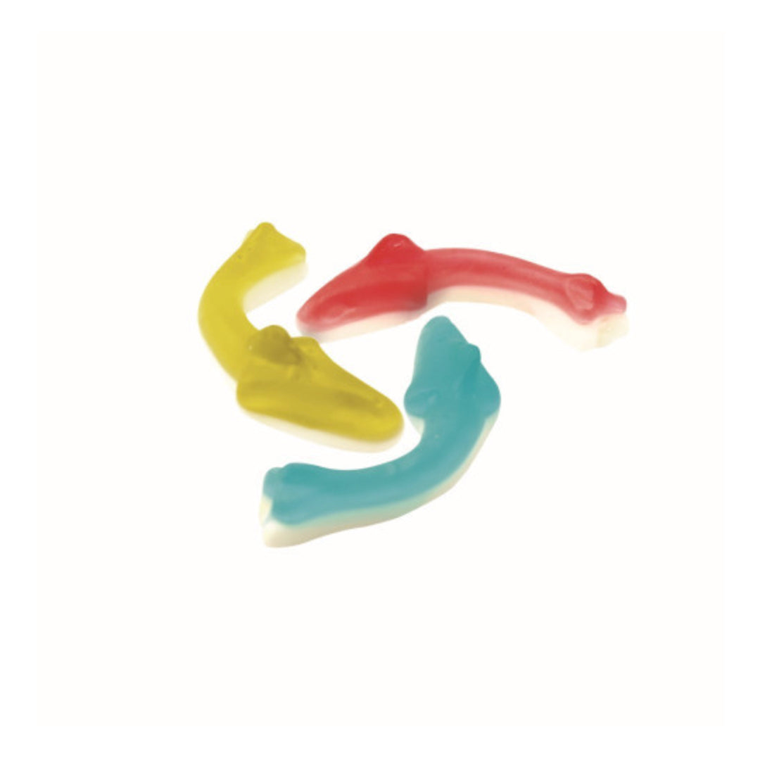 Bebeto Sharks on a white background