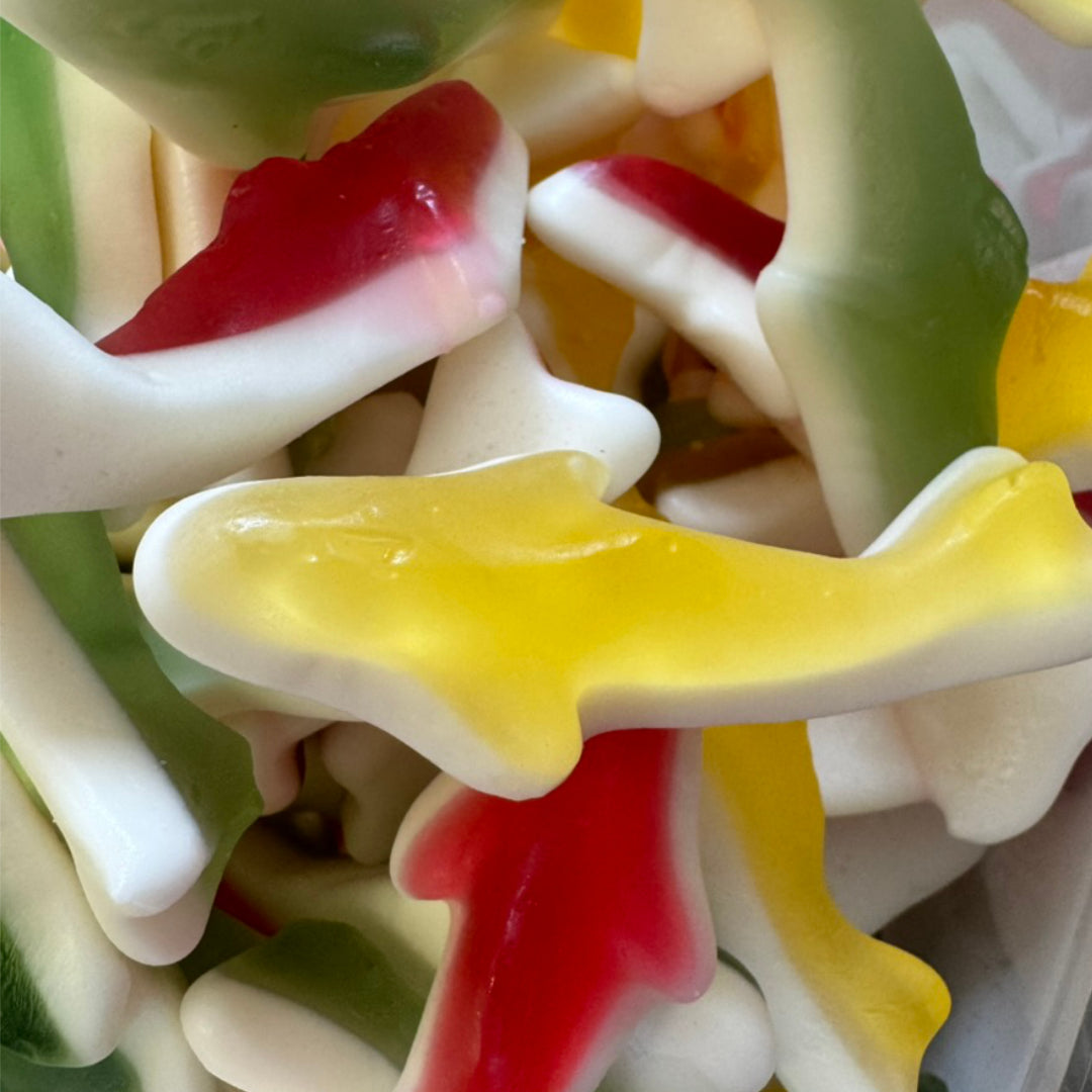 Bebeto Sharks close up