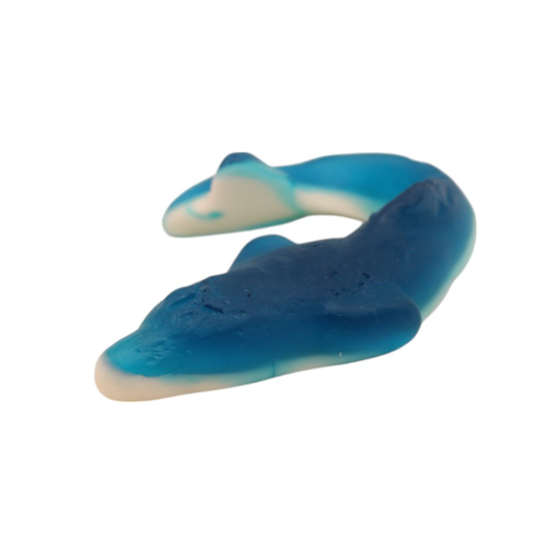 Giant Dolphin Jelly Sweets