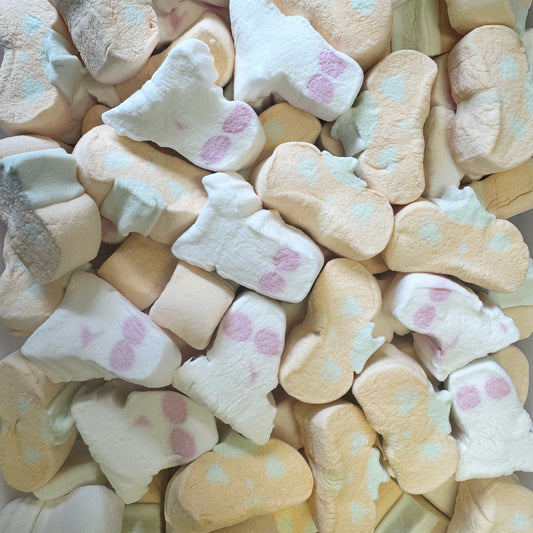 Close-Up of Pumpkin & Ghost Marshmallows