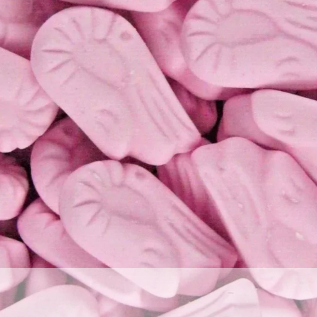 Small Foam Shrimps.jpg