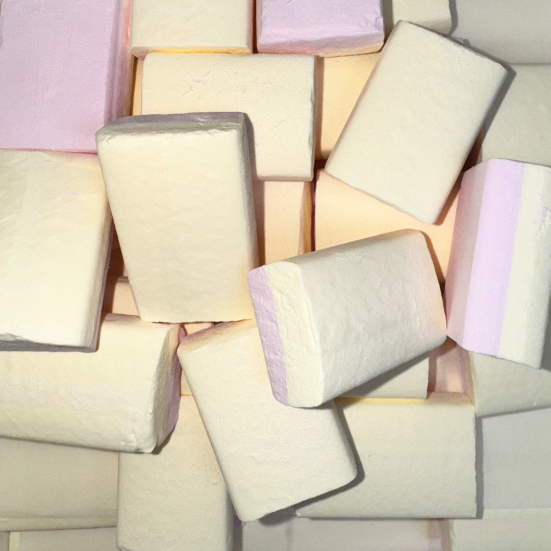 Vanilla Ice Sherbet Blocks – Lollypop Lane