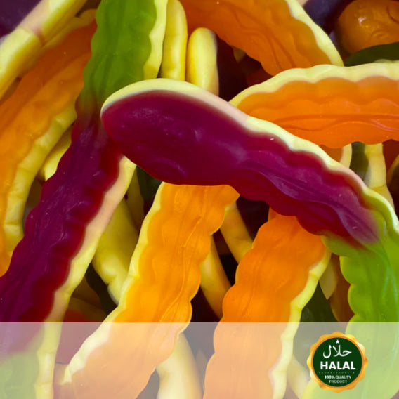 Yellow Belly Snakes.jpg